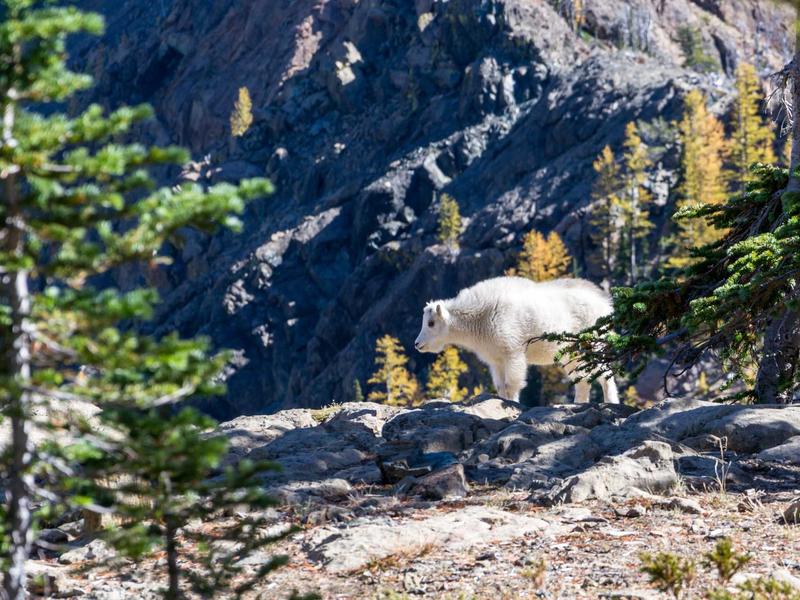 TG批量养号技术<br>多账号同步养号防封指南
